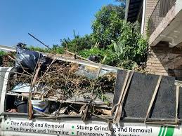 Best Residential Junk Removal  in Coldstream, OH